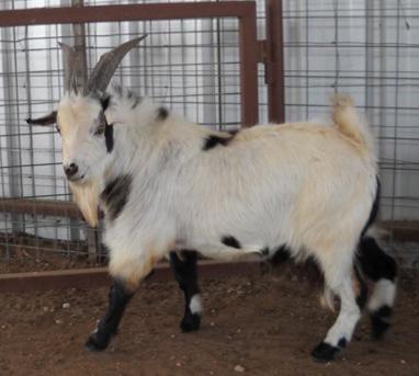 item6