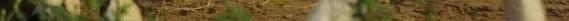 item9