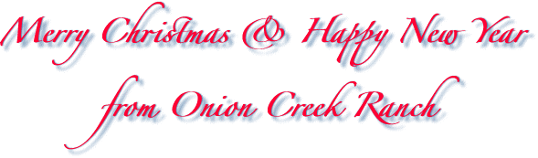 Merry Christmas & Happy New