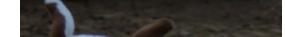 item21
