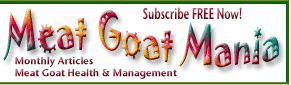 Meat Goat Mania