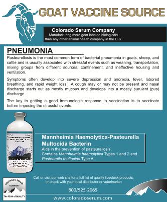 CSCmeatgoatmania0609a1a1