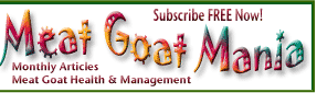 Meat Goat Mania