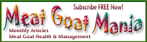 Meat Goat Mania