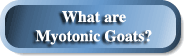MyotonicTop