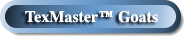 TexMasterTop