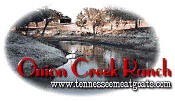 Onion Creek Ranch, Lohn, Texas